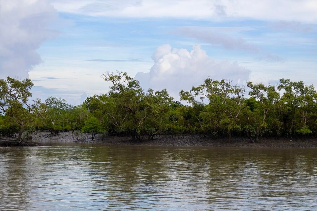 Bengal region : l'essentiel pour explorer cette région