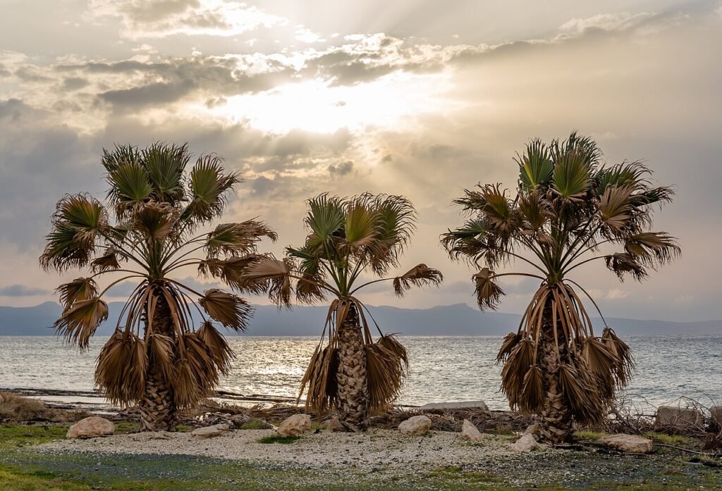 Chypre plage : notre top des plus beaux coins de sable