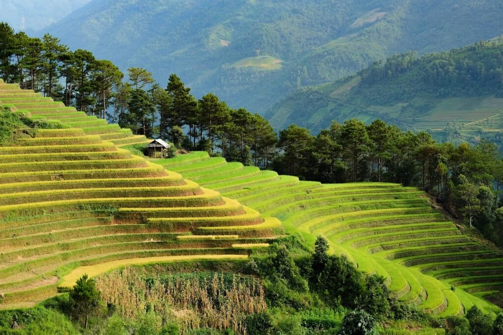 Pays d'Asie top 7 : les plus belles destinations à voir