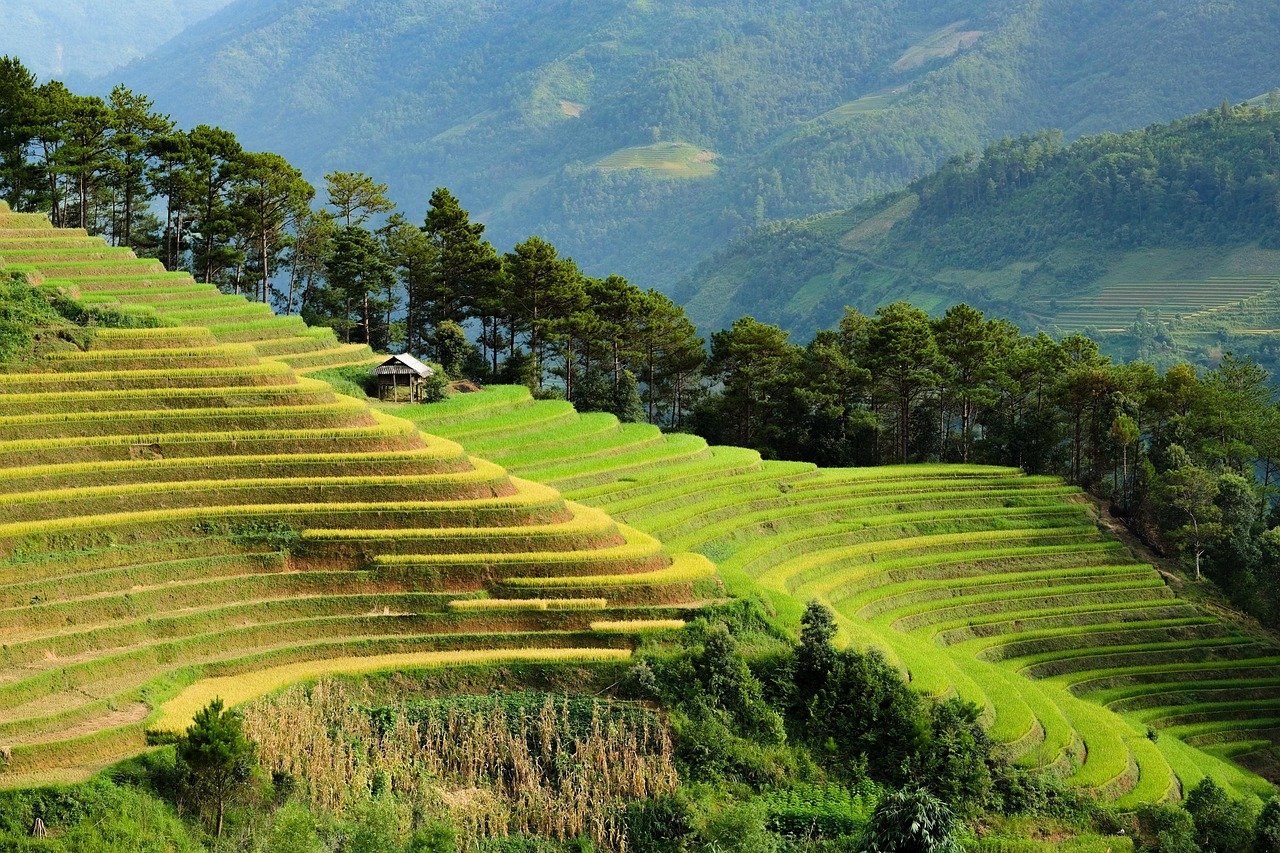 Pays d&rsquo;Asie top 7 : les plus belles destinations à voir